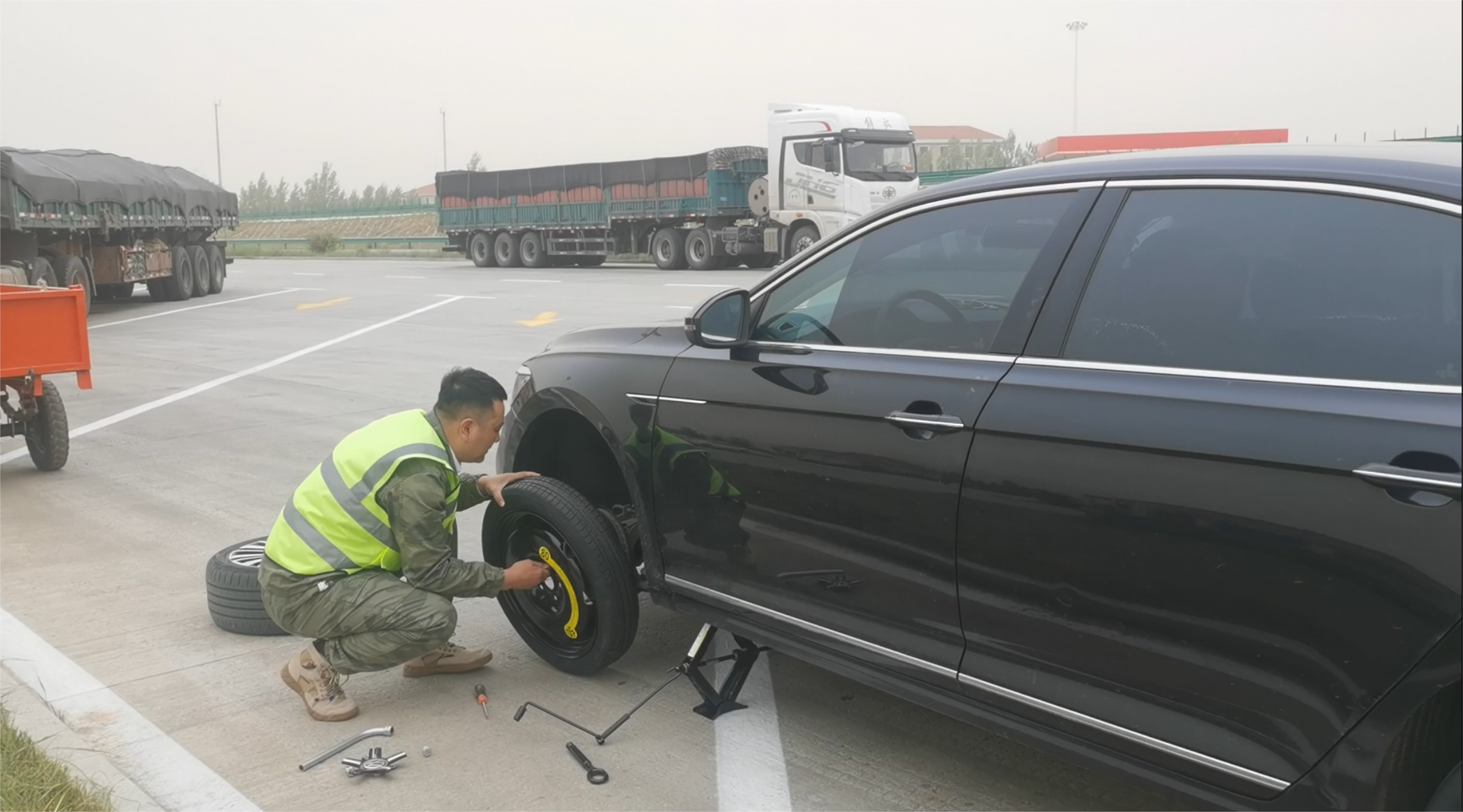 女人与公狍交酡女免费