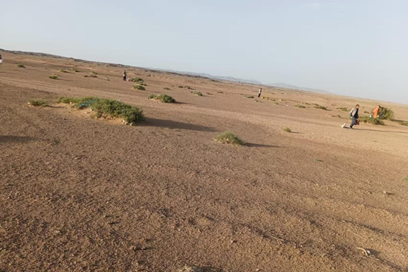 女人与公狍交酡女免费