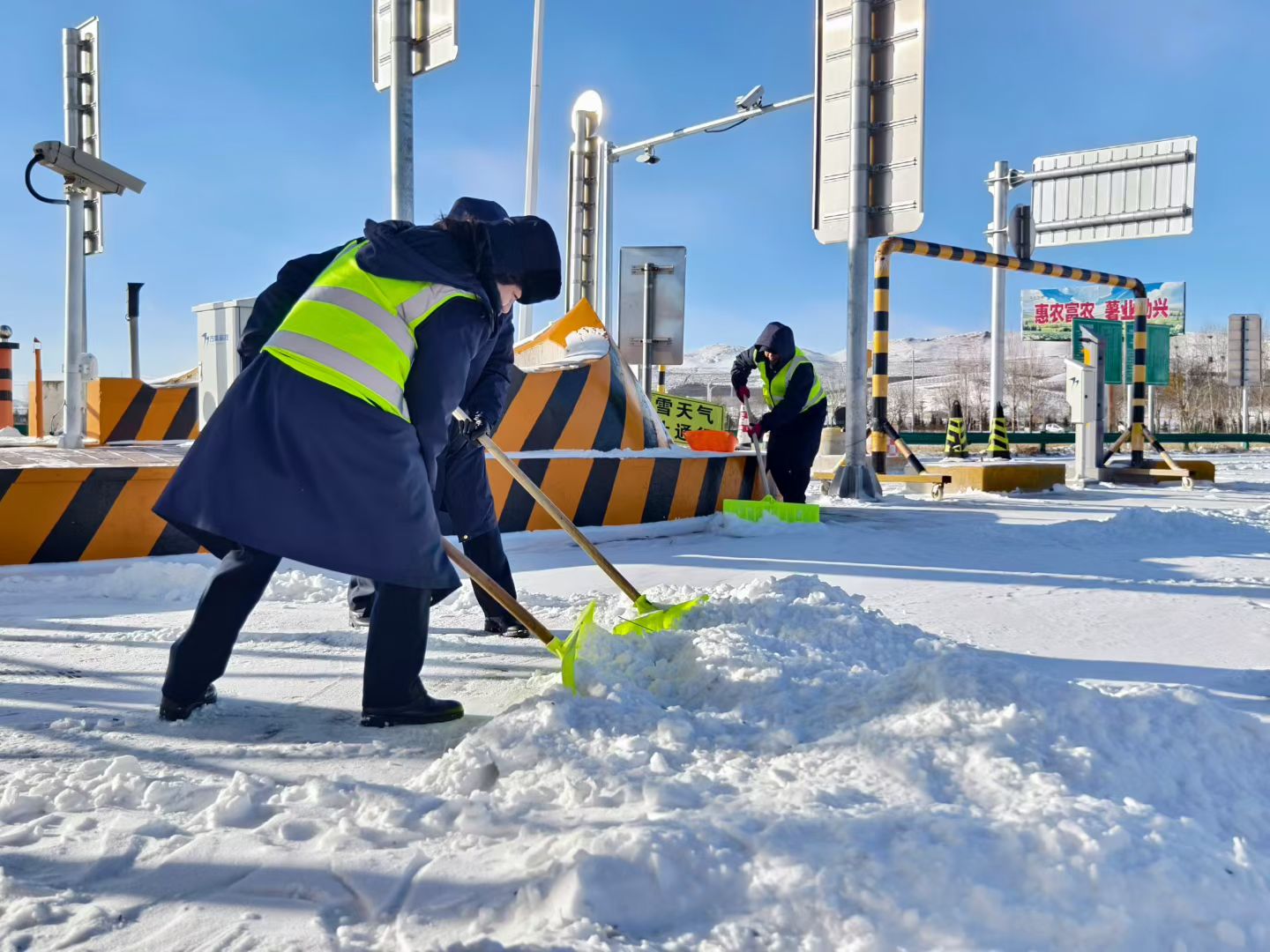 女人与公狍交酡女免费