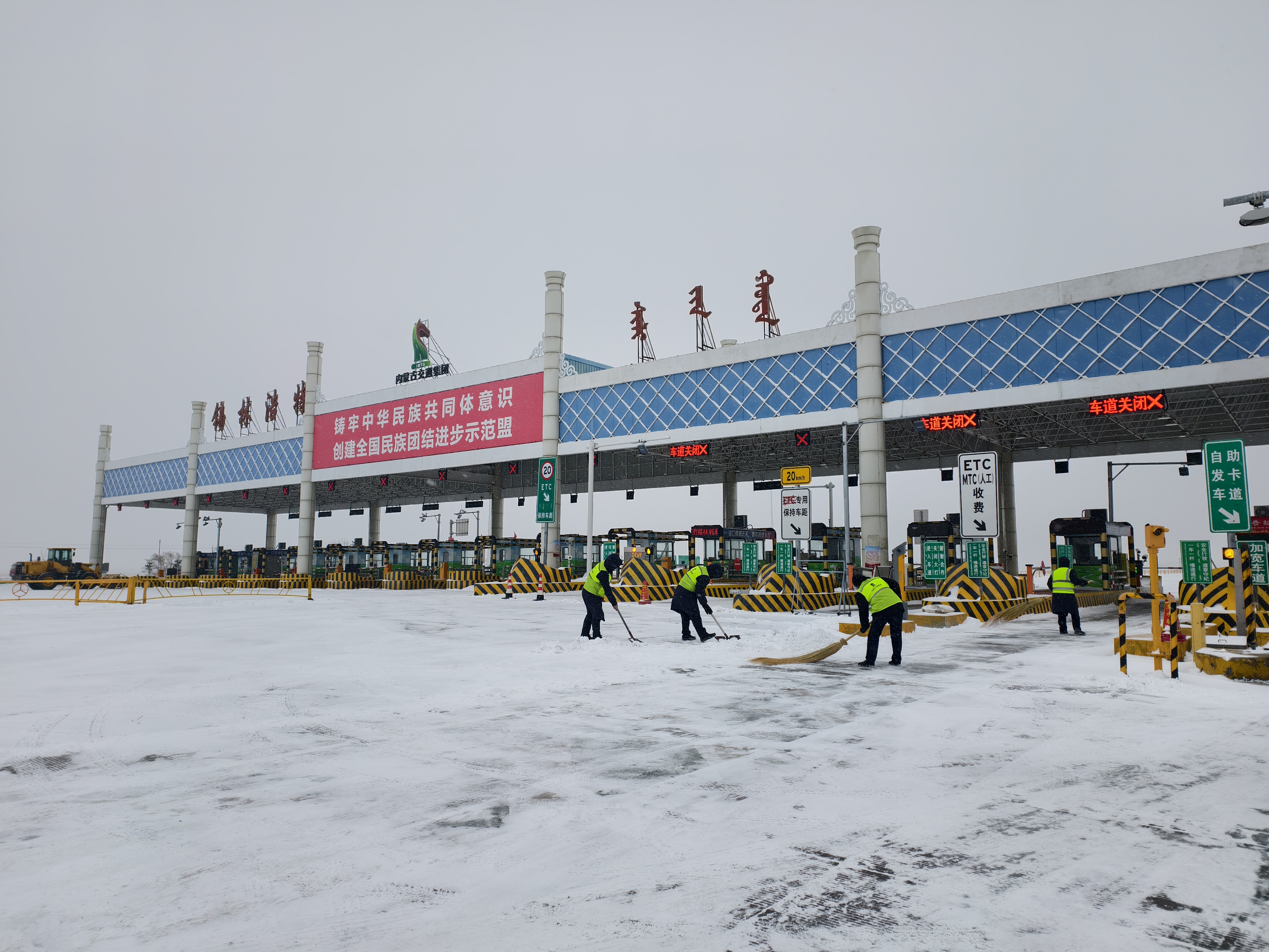 女人与公狍交酡女免费