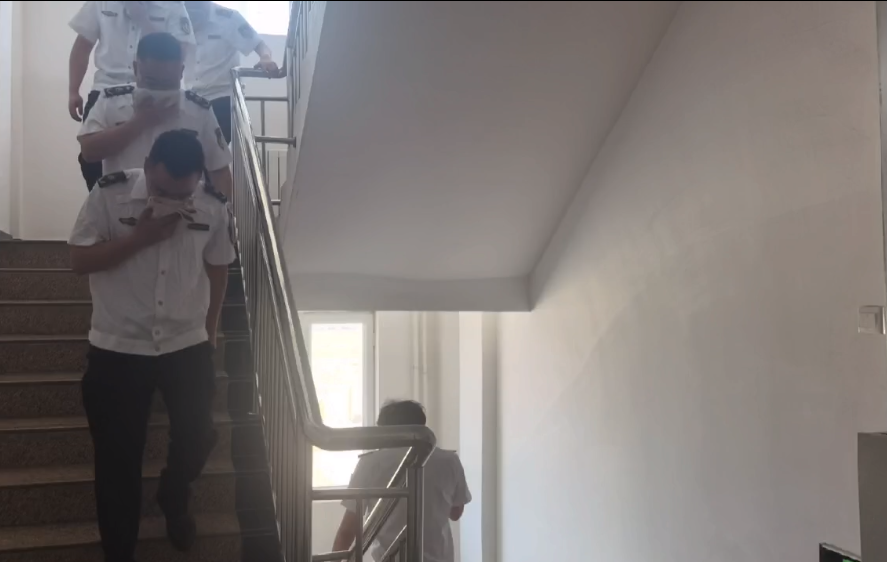 女人与公狍交酡女免费