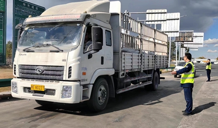 女人与公狍交酡女免费