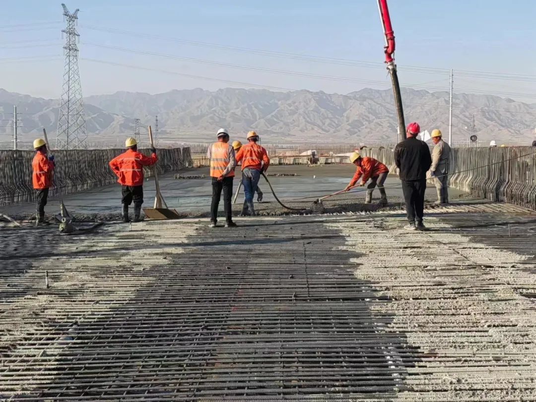 女人与公狍交酡女免费