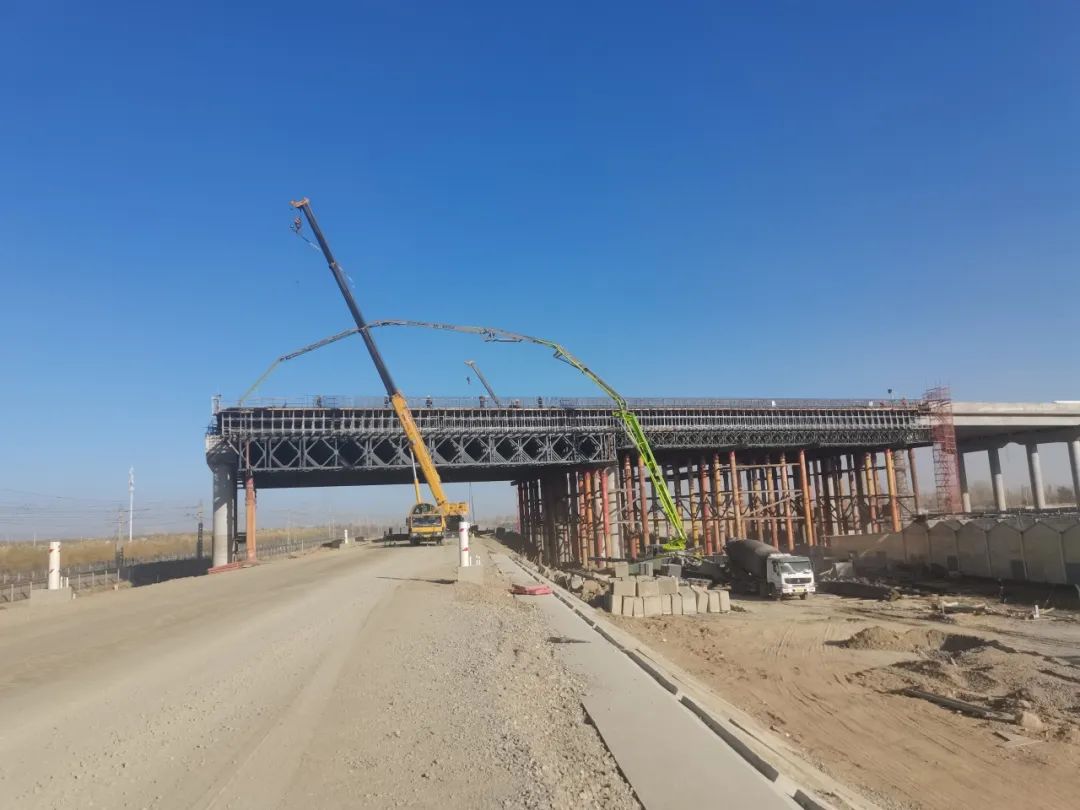 女人与公狍交酡女免费