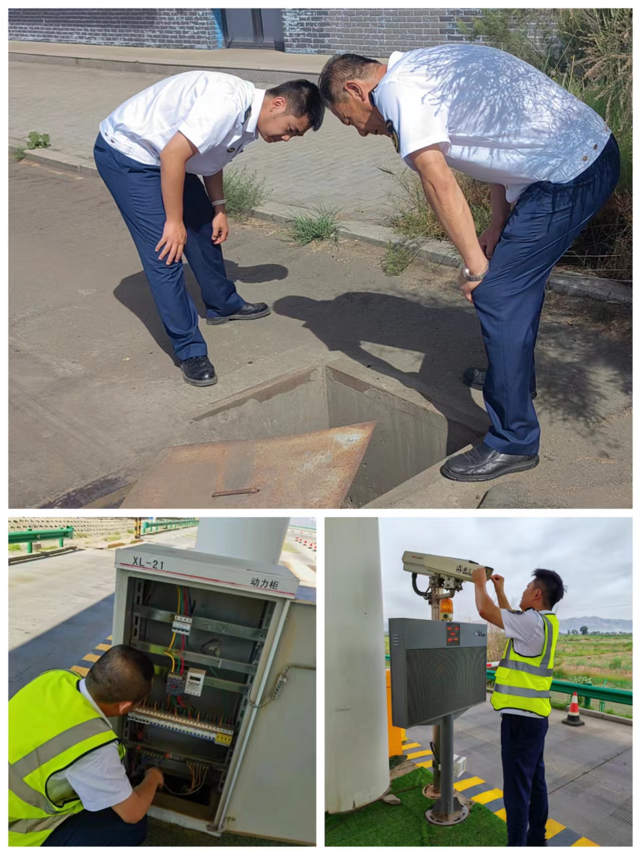 女人与公狍交酡女免费