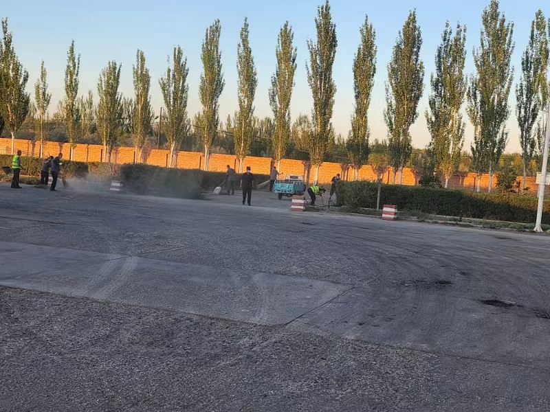 女人与公狍交酡女免费