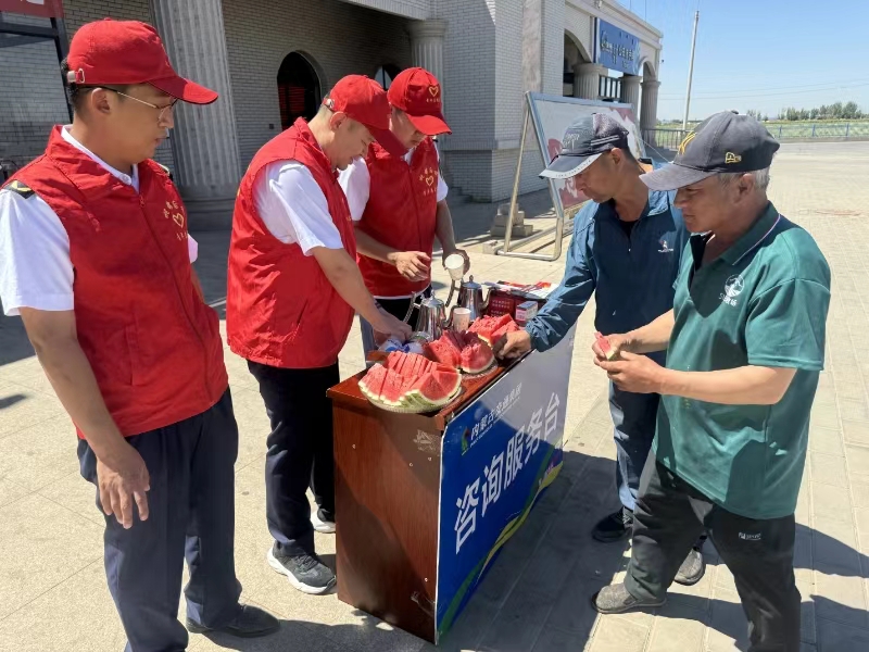 女人与公狍交酡女免费