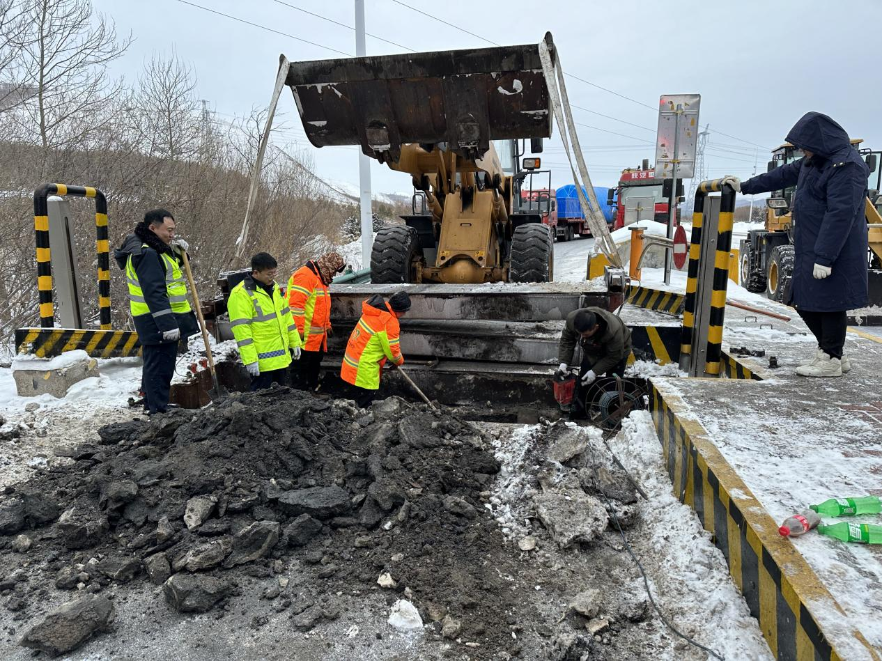 女人与公狍交酡女免费