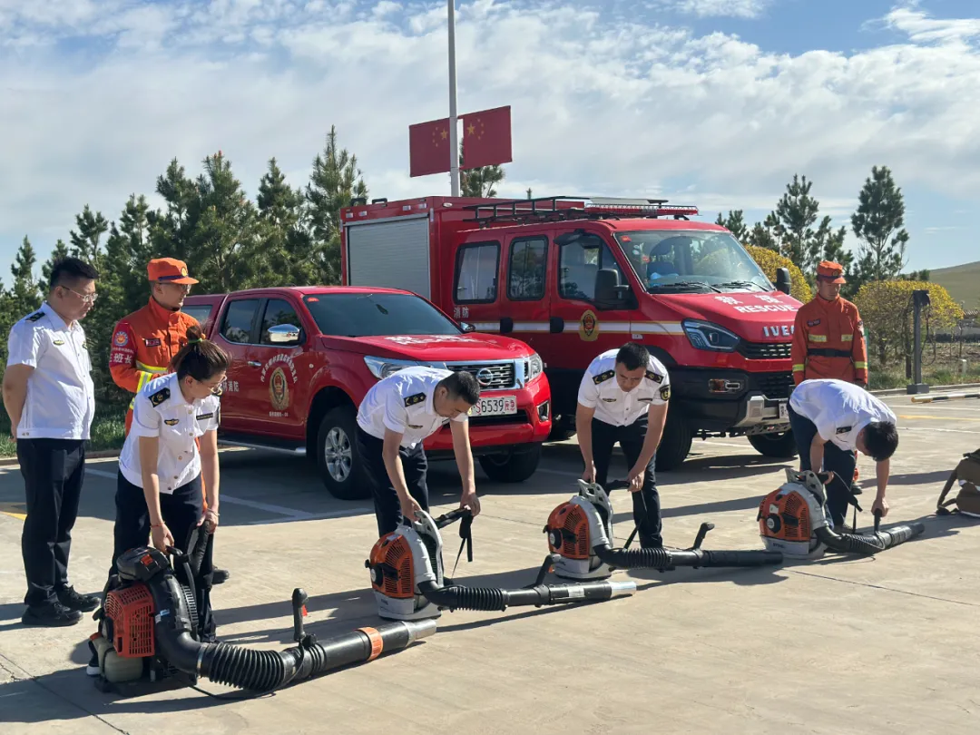 女人与公狍交酡女免费