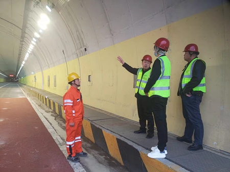 女人与公狍交酡女免费