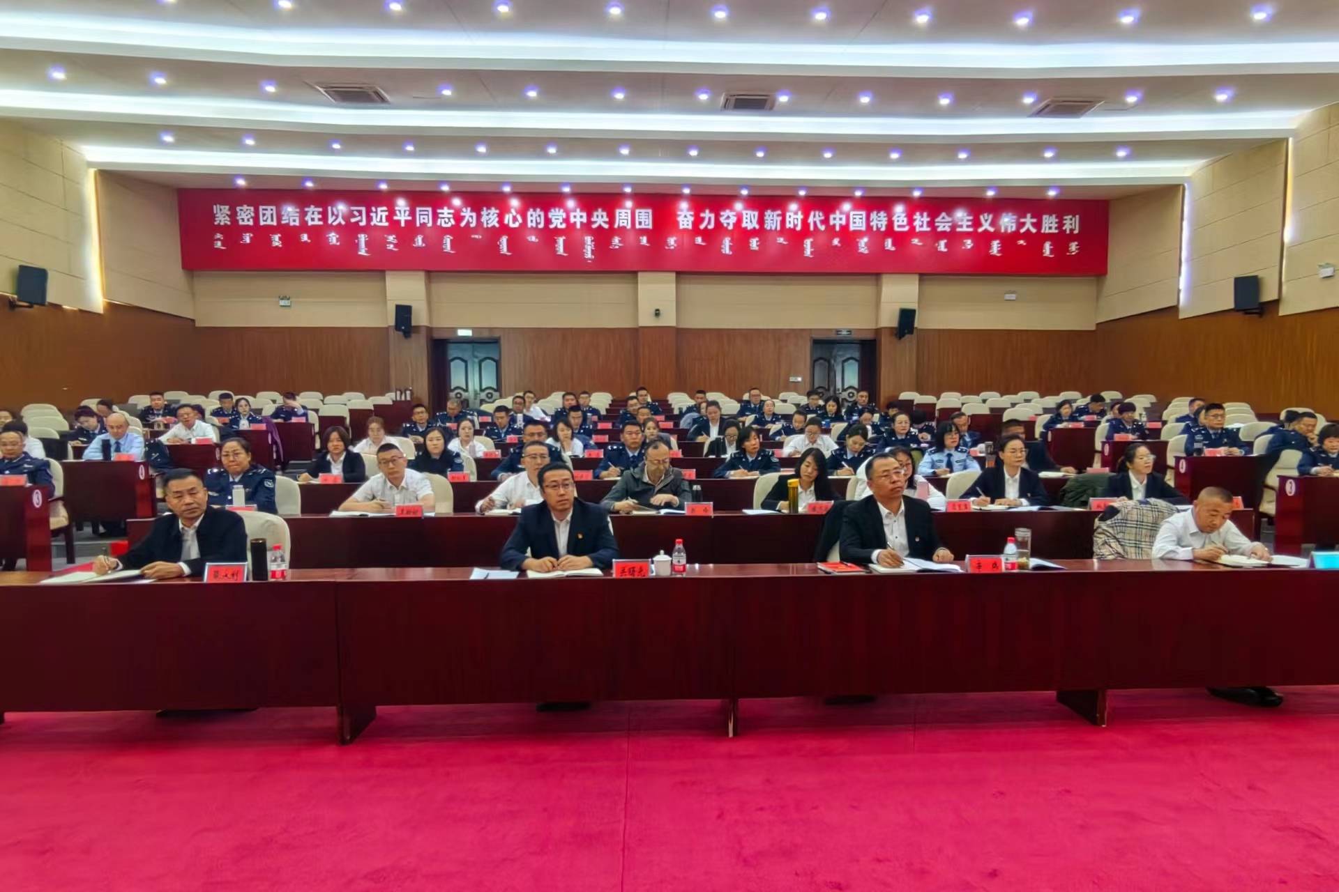 女人与公狍交酡女免费