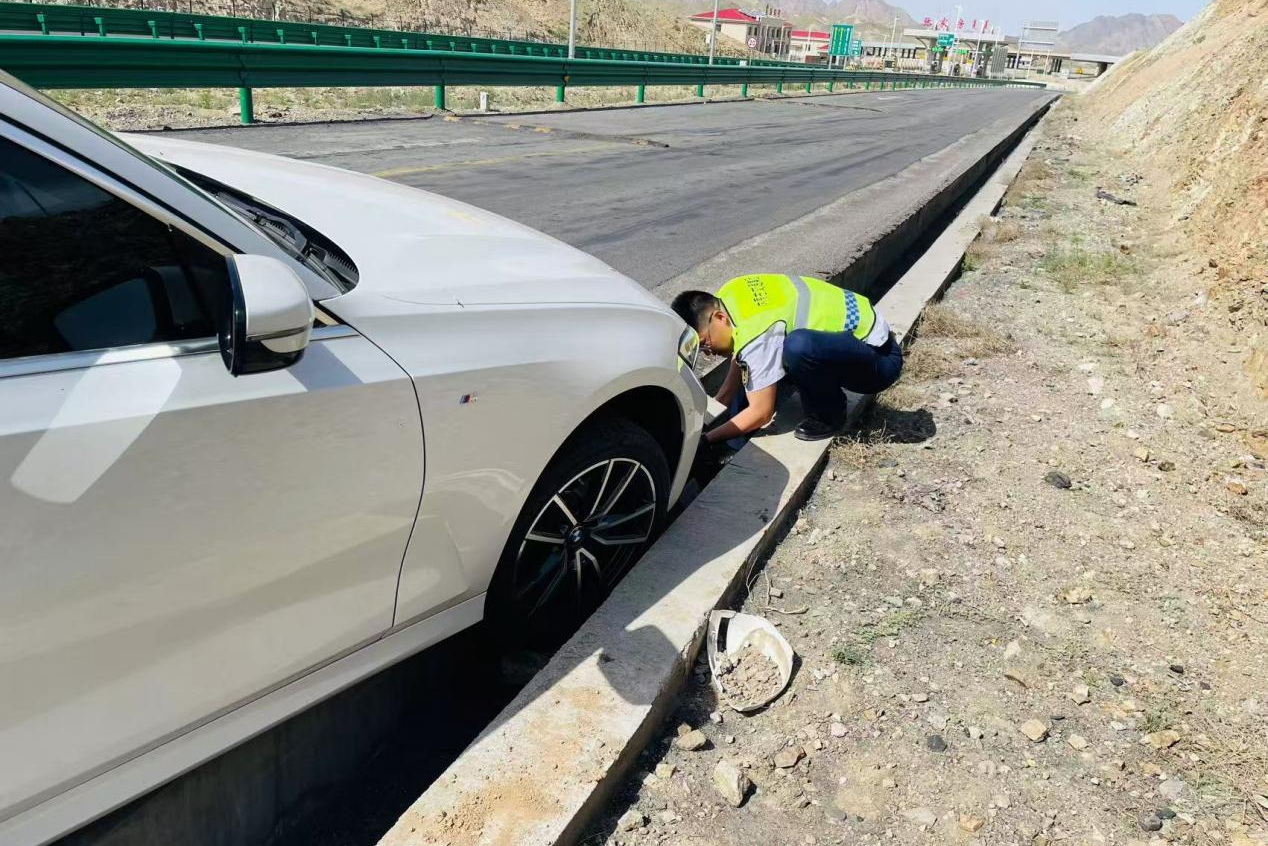 女人与公狍交酡女免费