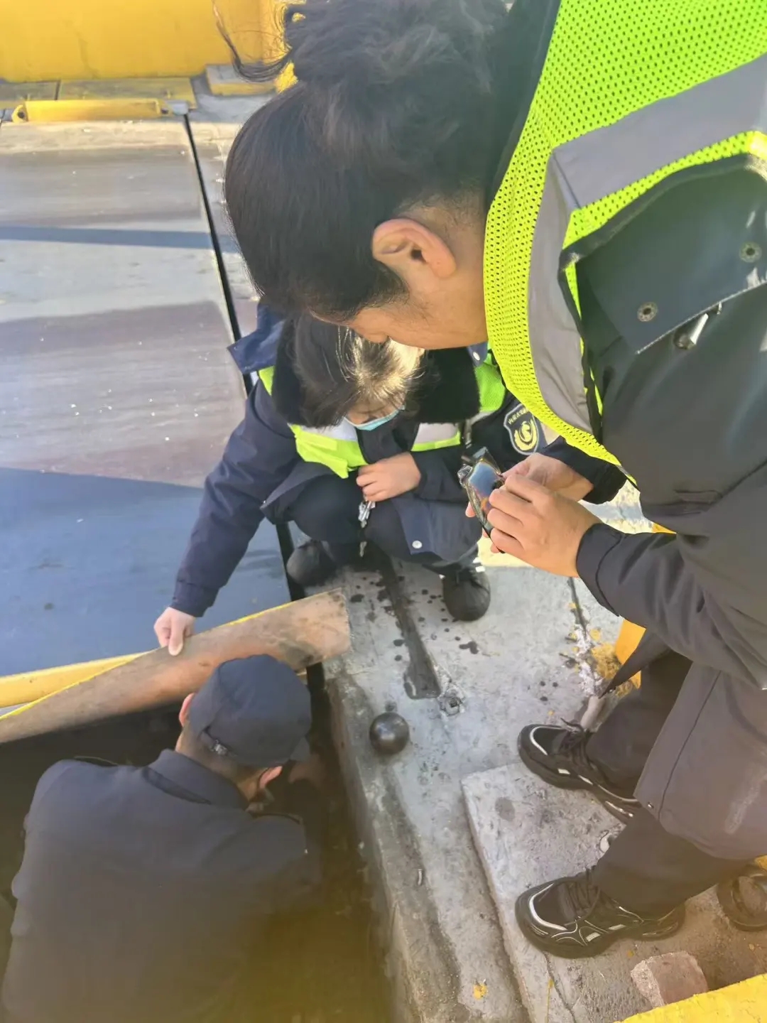 女人与公狍交酡女免费