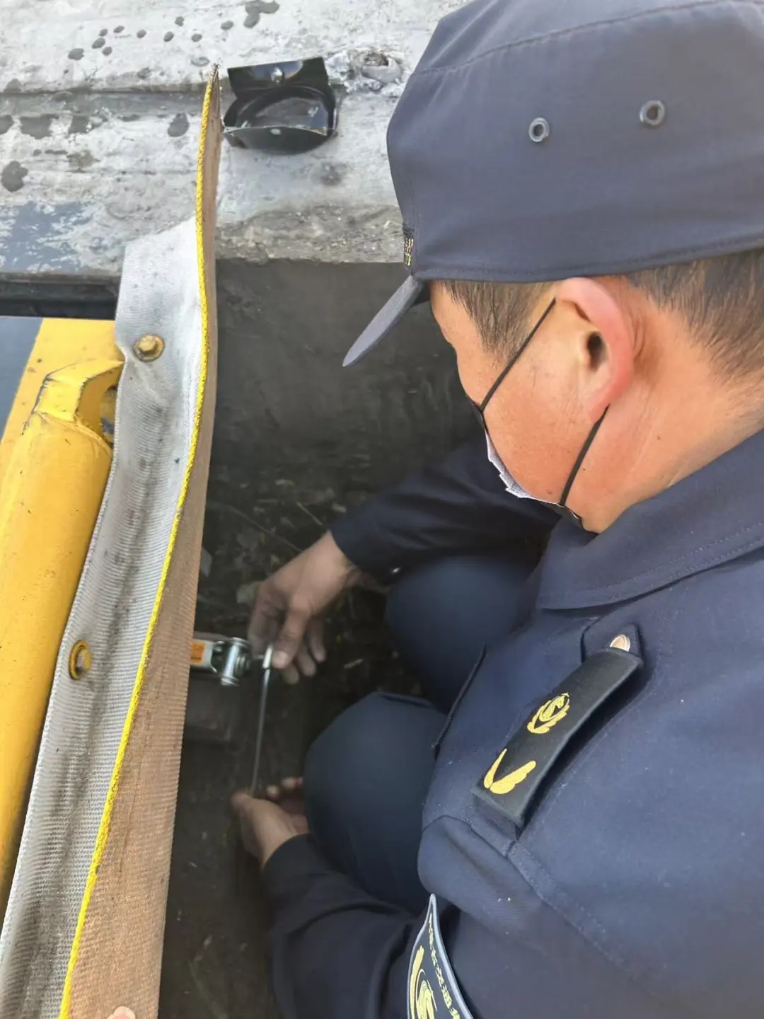 女人与公狍交酡女免费