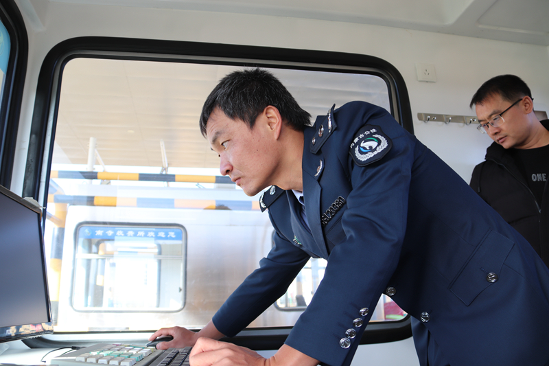 女人与公狍交酡女免费