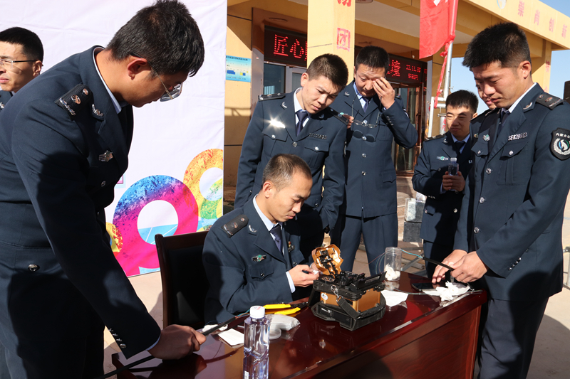 女人与公狍交酡女免费