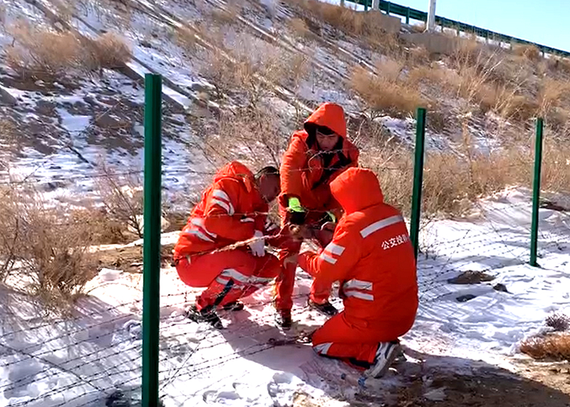 女人与公狍交酡女免费