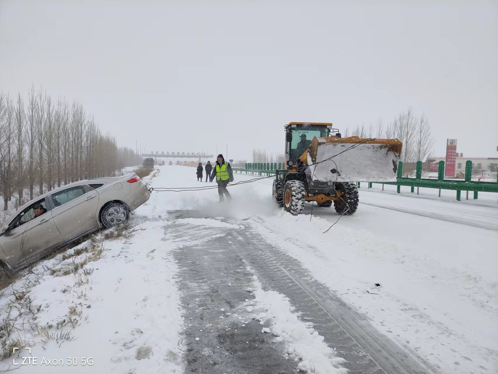 女人与公狍交酡女免费
