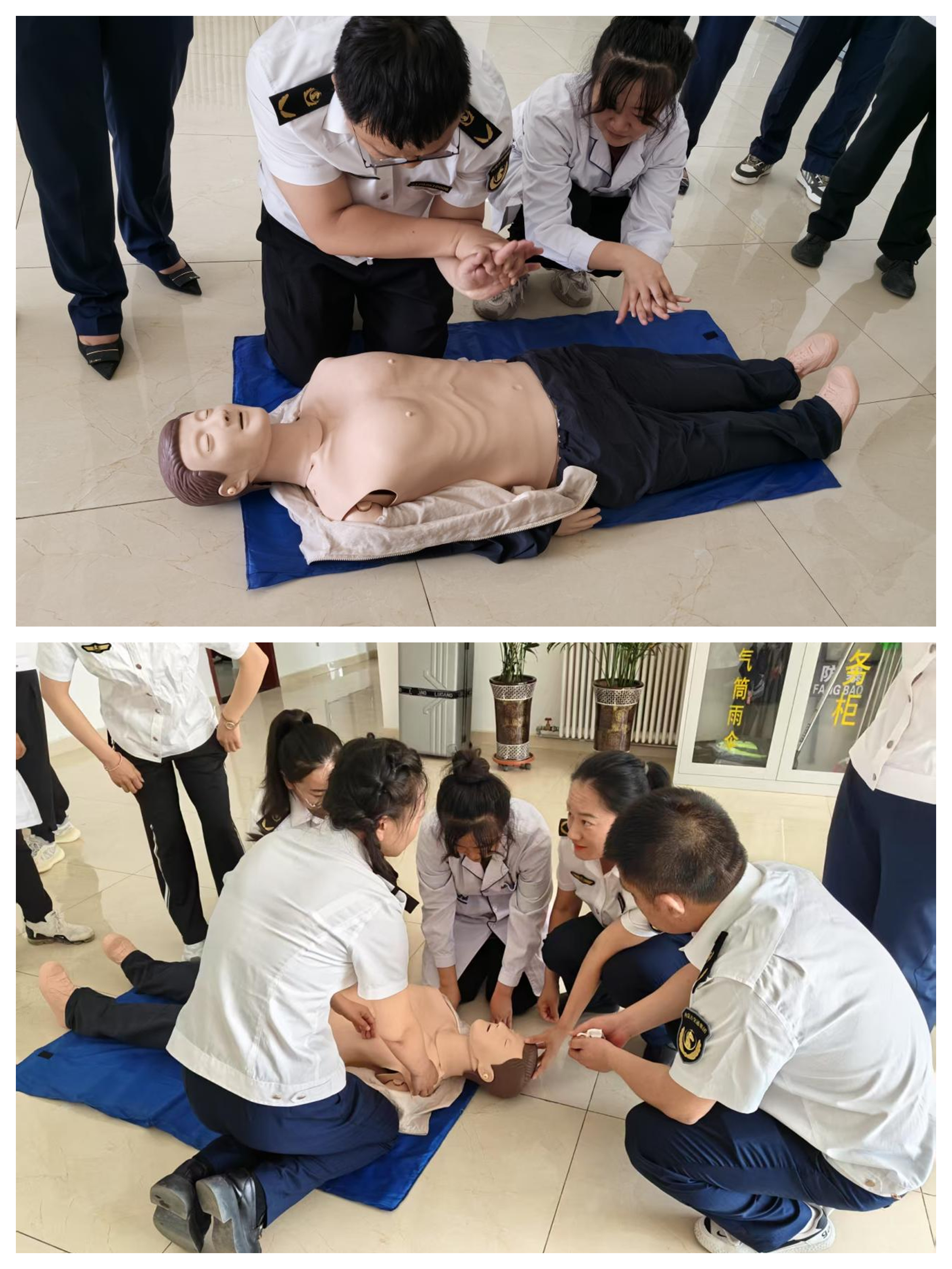 女人与公狍交酡女免费