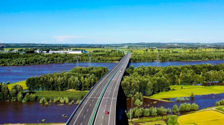 女人与公狍交酡女免费