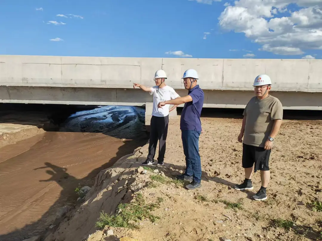 女人与公狍交酡女免费
