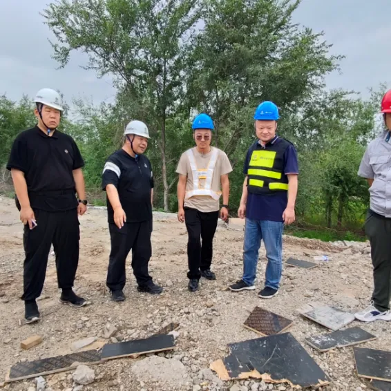 女人与公狍交酡女免费