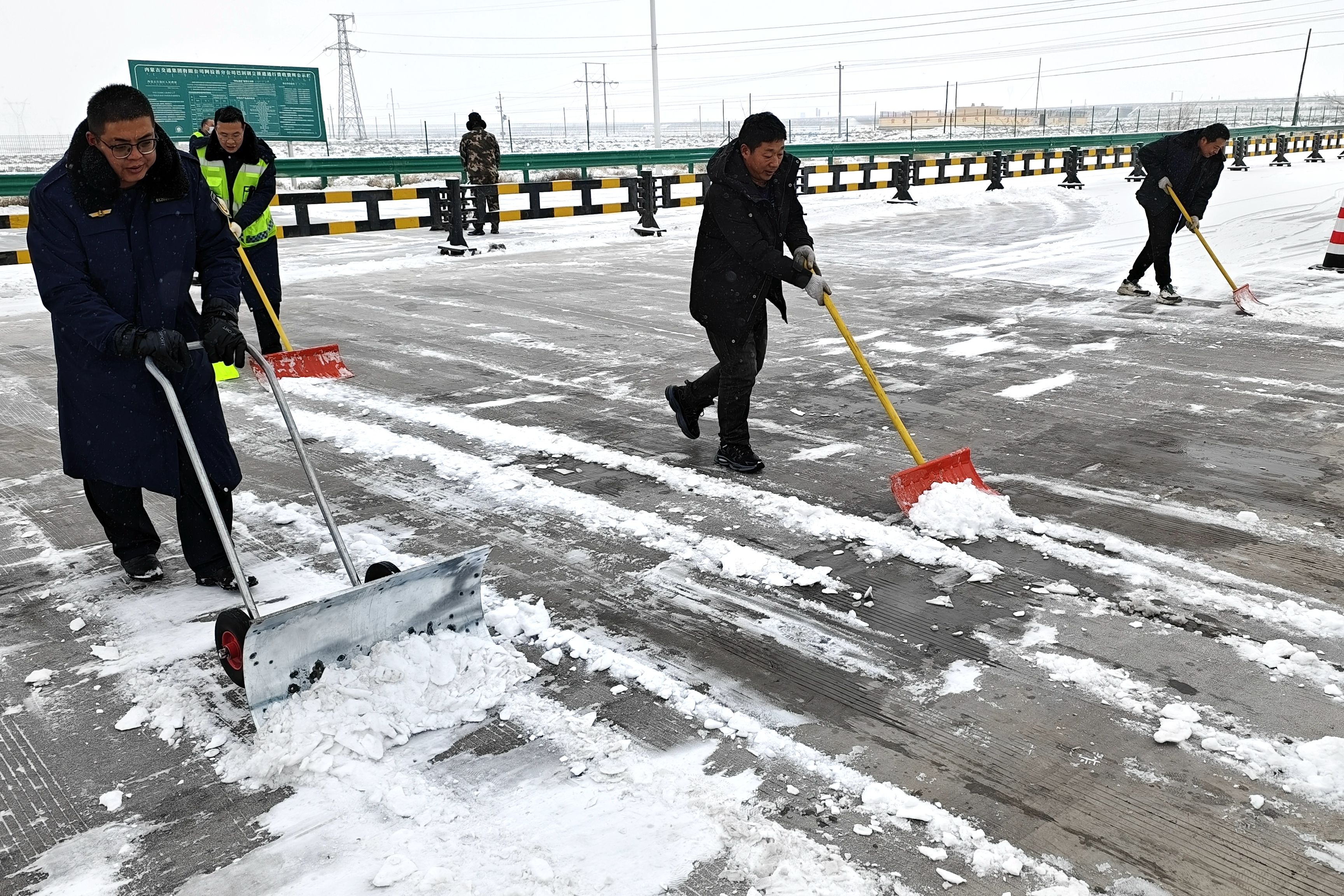 女人与公狍交酡女免费