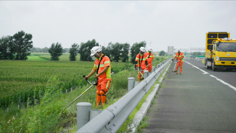 女人与公狍交酡女免费