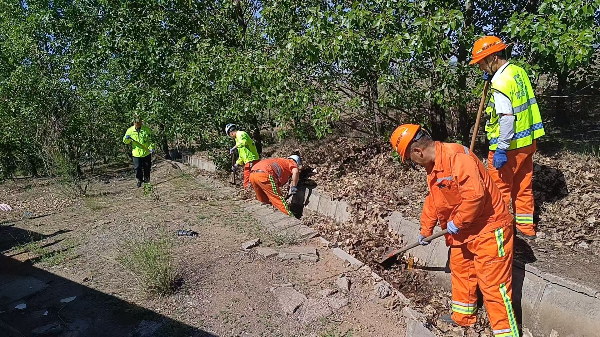 女人与公狍交酡女免费