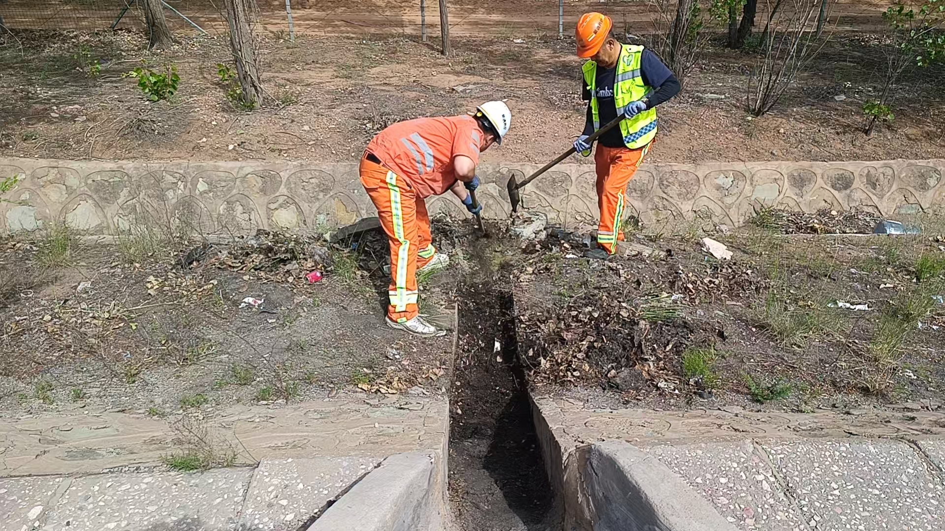 女人与公狍交酡女免费
