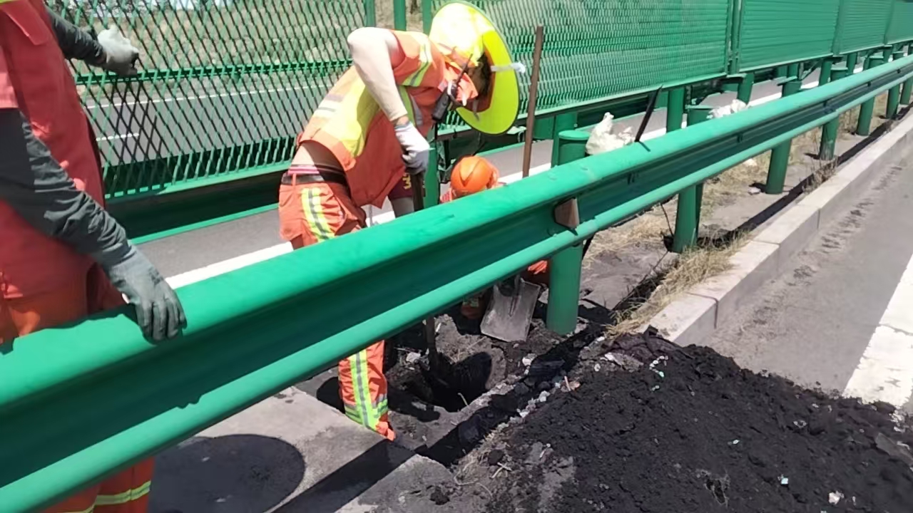 女人与公狍交酡女免费