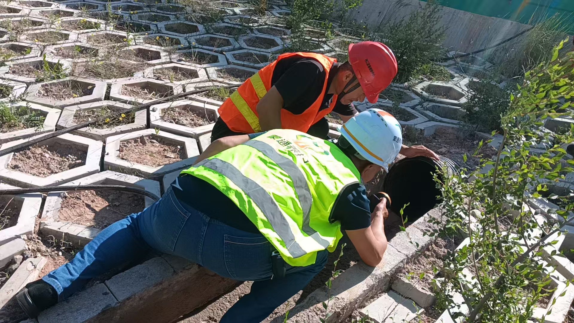 女人与公狍交酡女免费