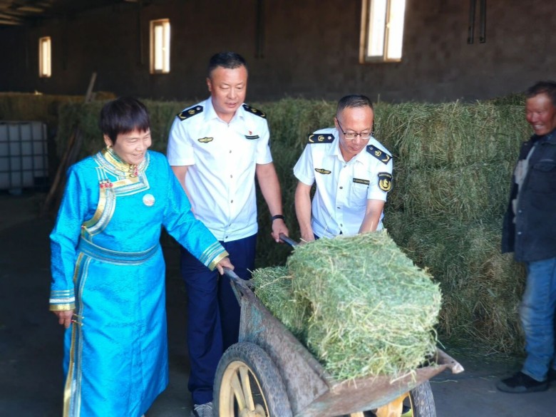 女人与公狍交酡女免费