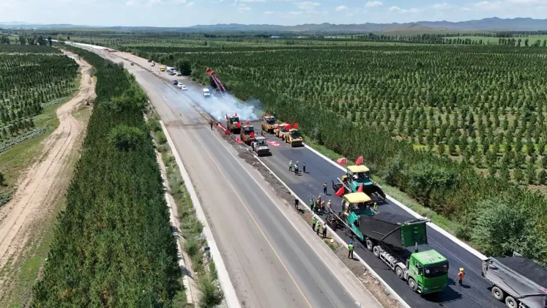 女人与公狍交酡女免费