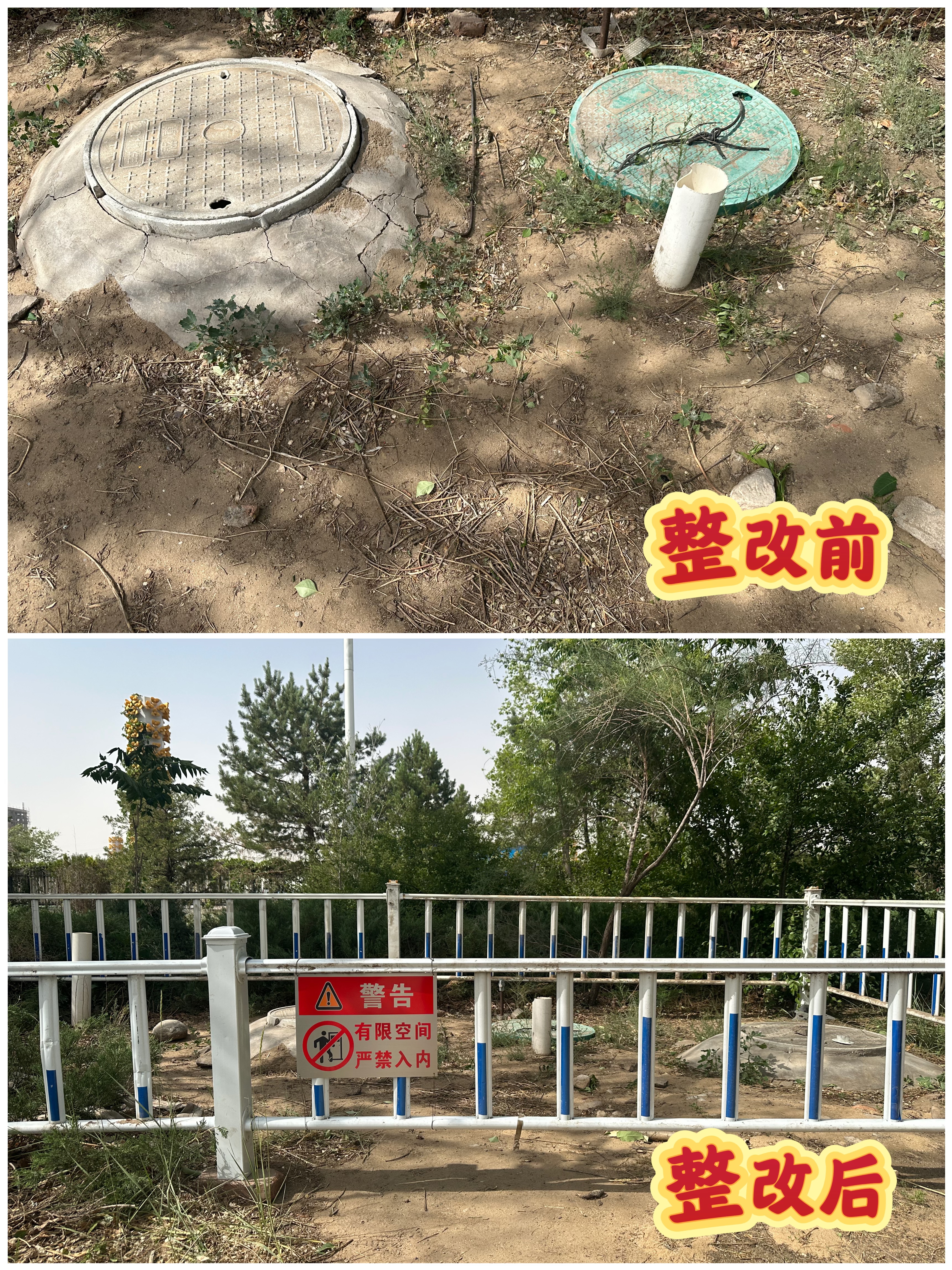 女人与公狍交酡女免费