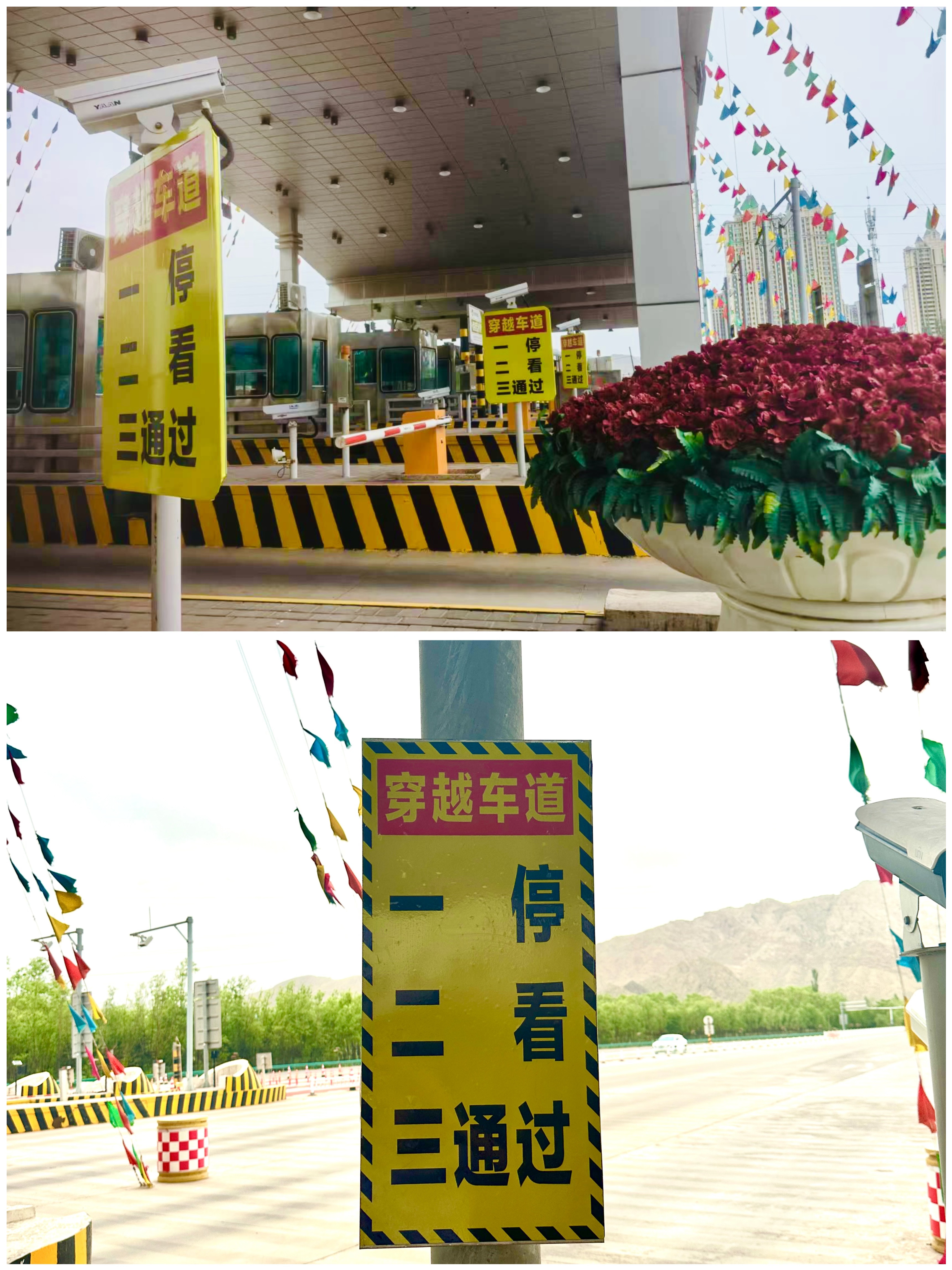 女人与公狍交酡女免费