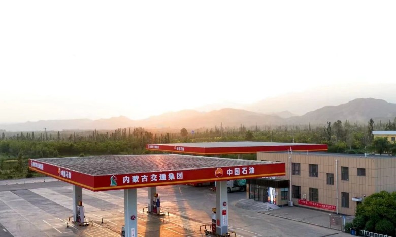 女人与公狍交酡女免费