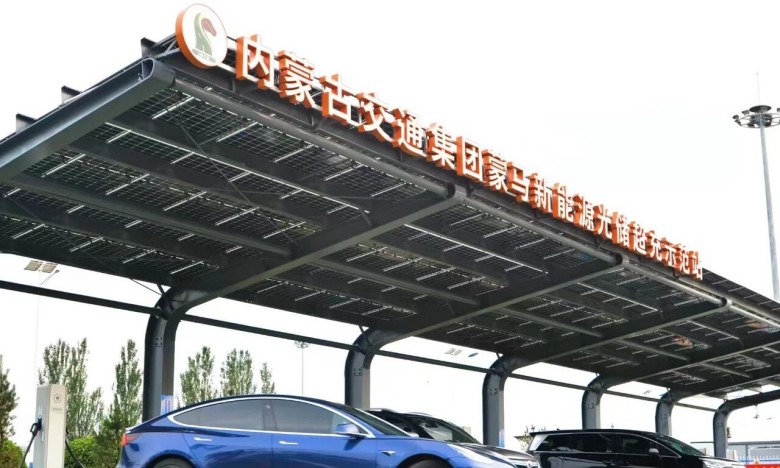 女人与公狍交酡女免费