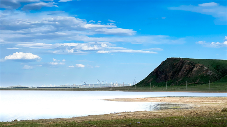 女人与公狍交酡女免费