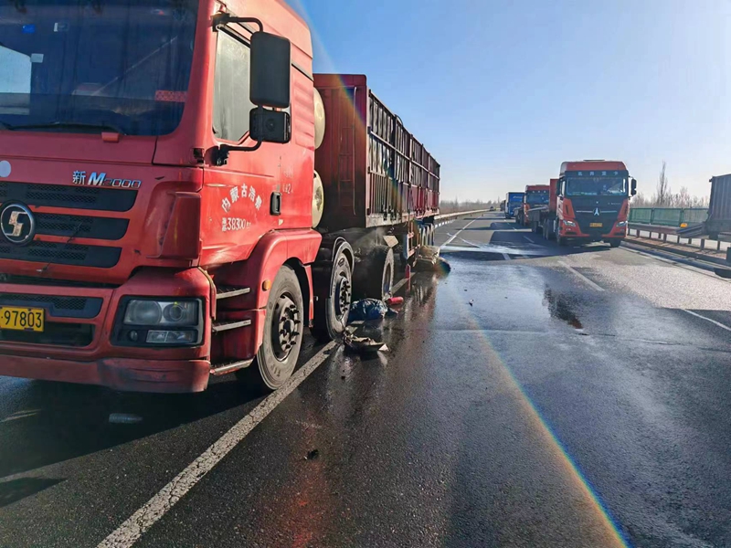 女人与公狍交酡女免费