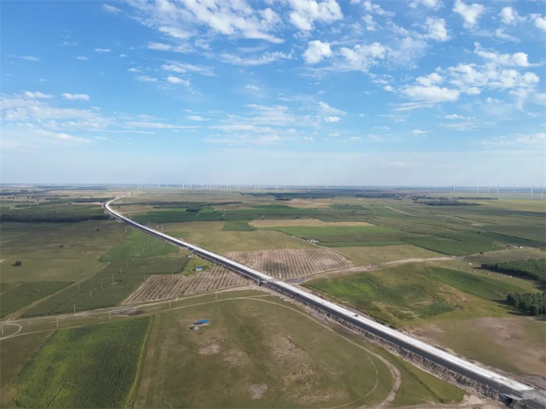 女人与公狍交酡女免费