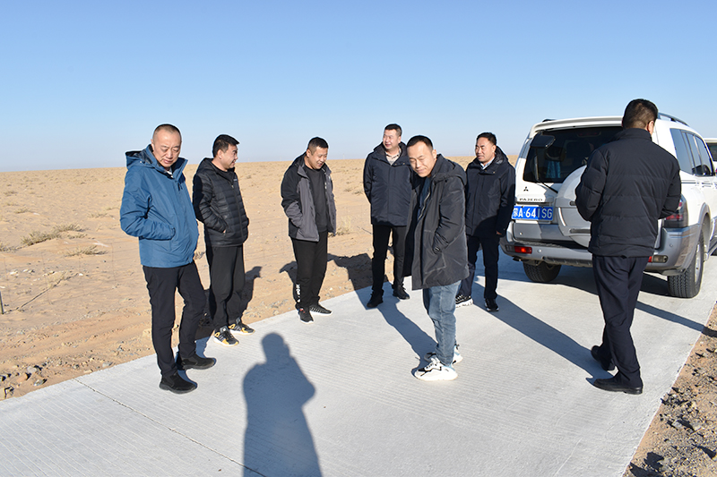 女人与公狍交酡女免费