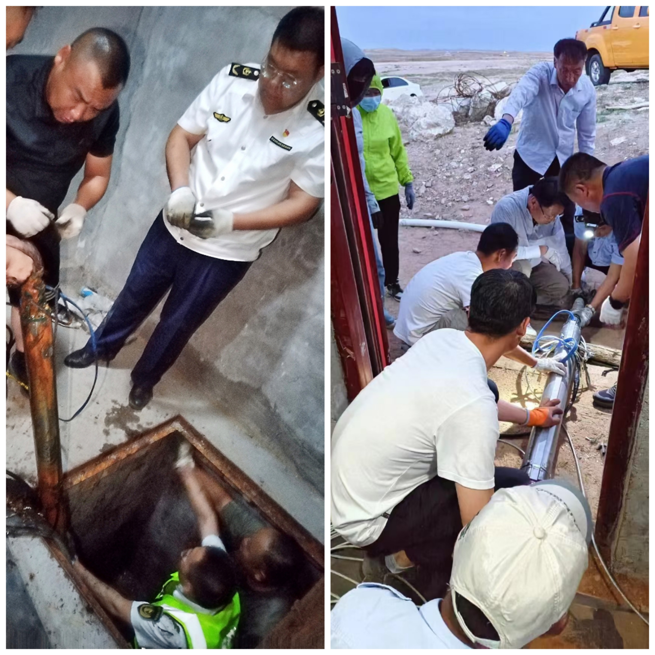 女人与公狍交酡女免费