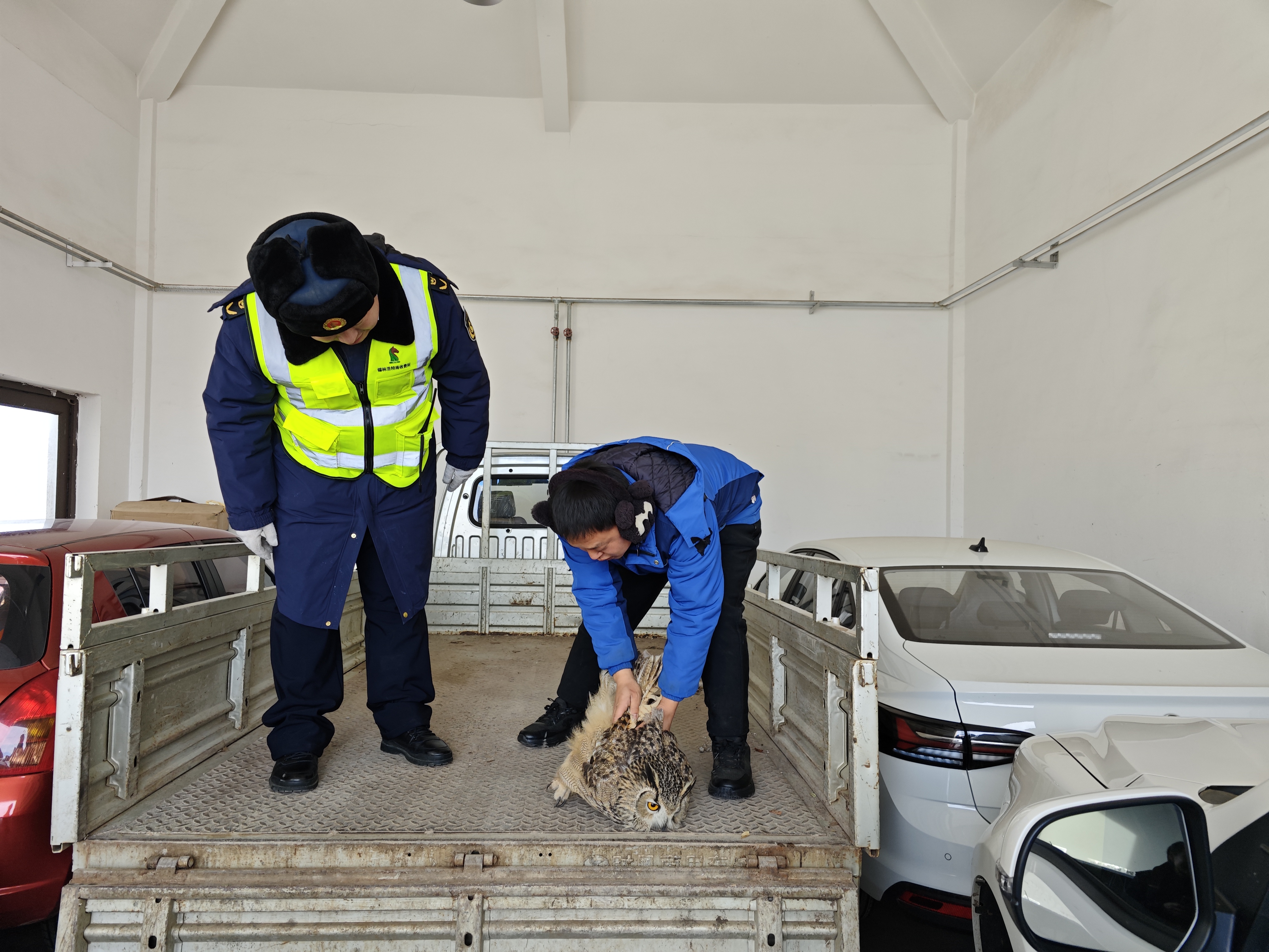 女人与公狍交酡女免费