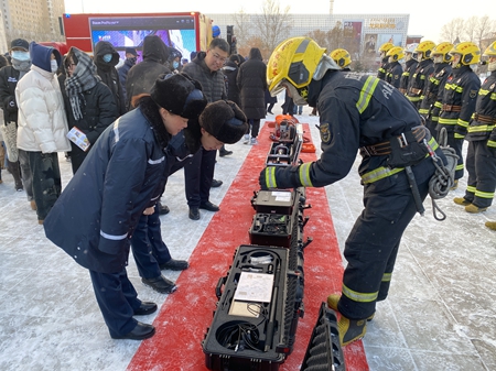 女人与公狍交酡女免费
