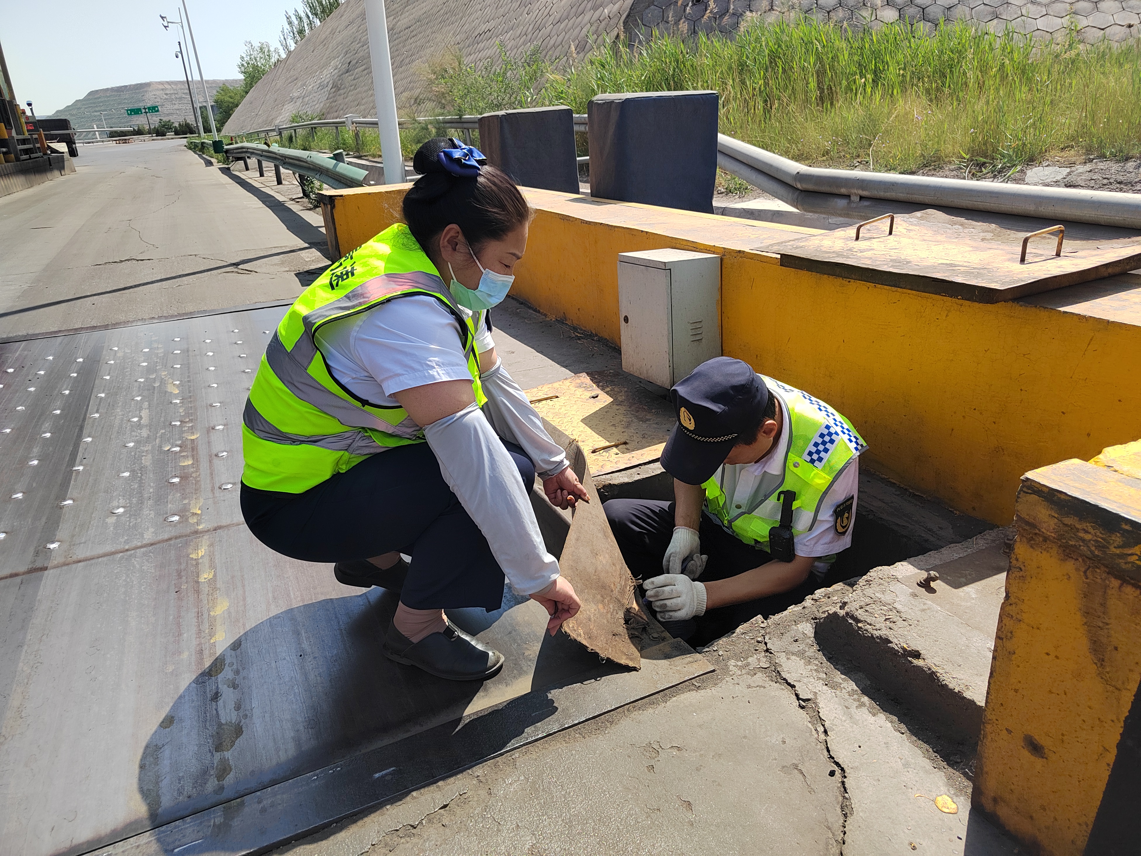 女人与公狍交酡女免费