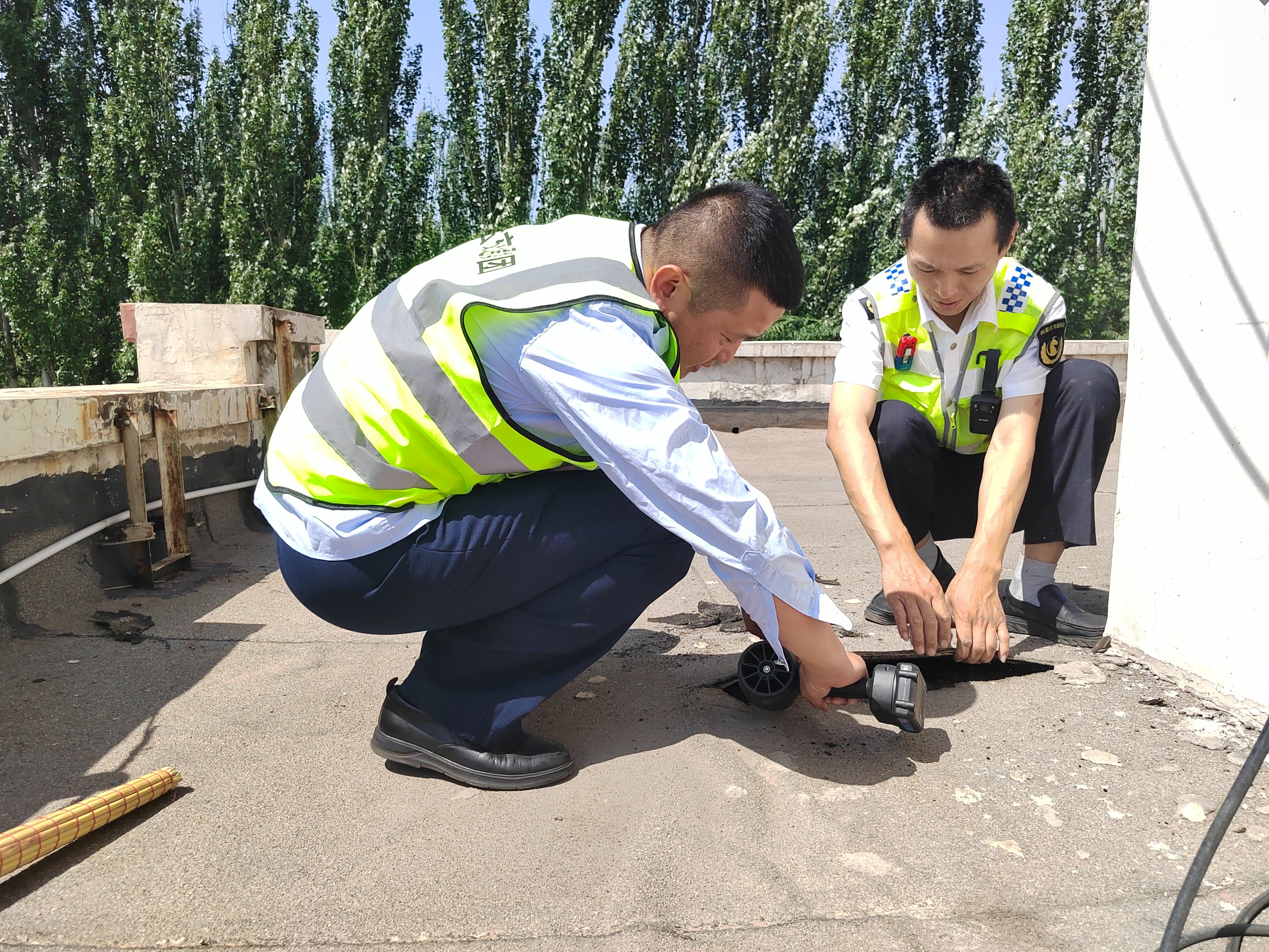 女人与公狍交酡女免费