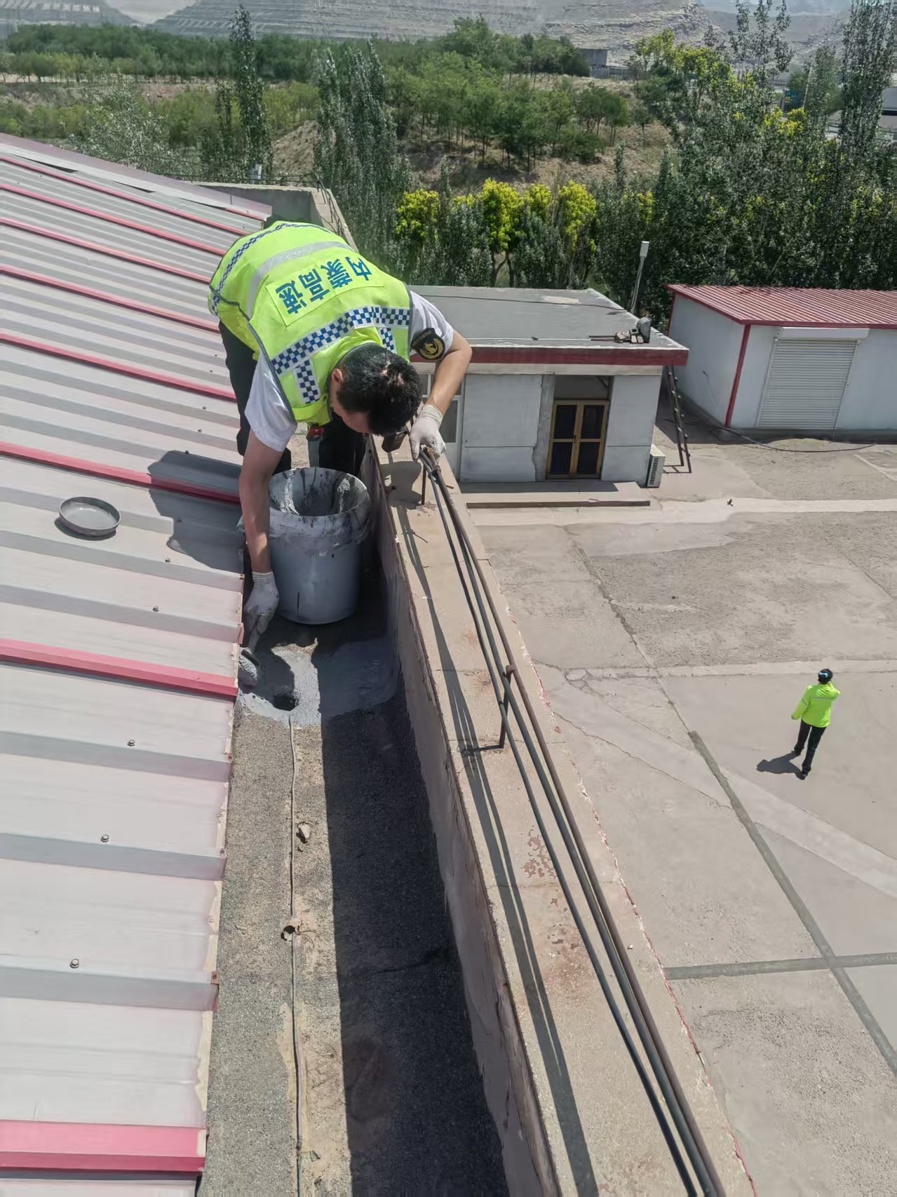 女人与公狍交酡女免费