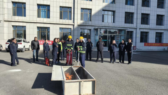 女人与公狍交酡女免费