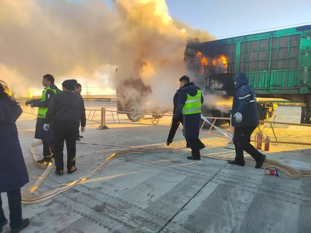 女人与公狍交酡女免费